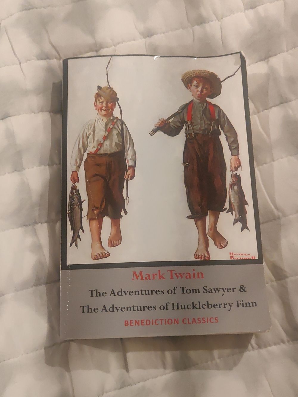 Mark Twain Tom Sawyer & Huckleberry Finn Vintage Paperback Book Benediction Clas